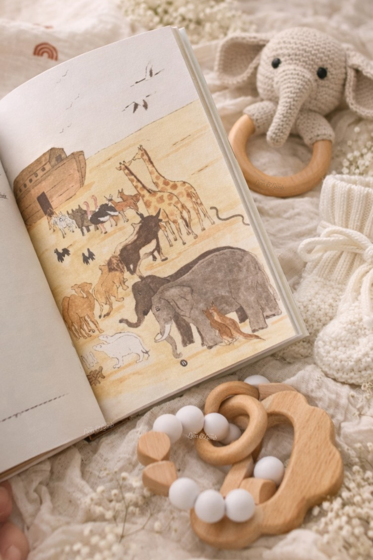Noah’s Ark Baby Box