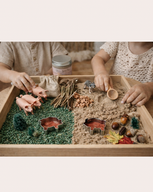 Three Little Pigs – Sensory Play Kit