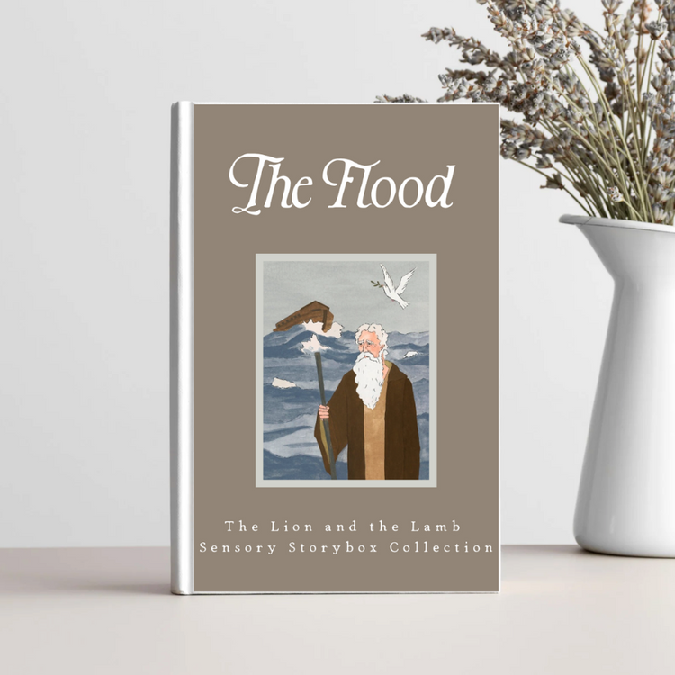 The Flood - Storybook