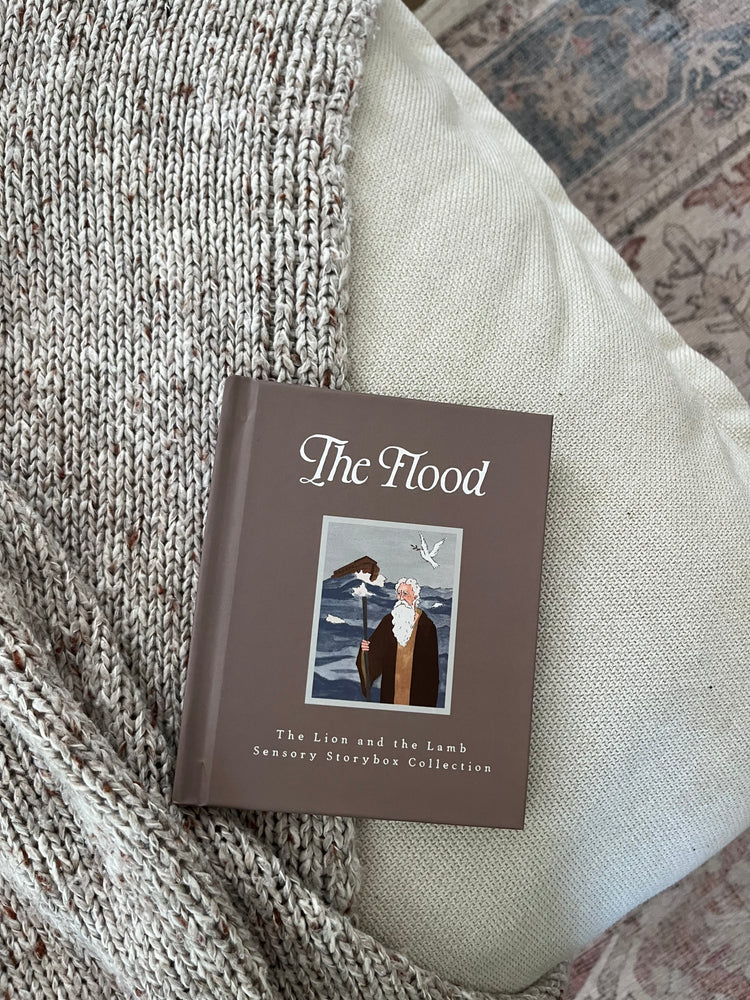 The Flood - Storybook