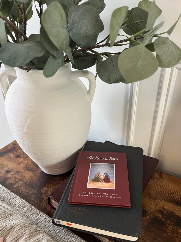 The King is Born - Storybook