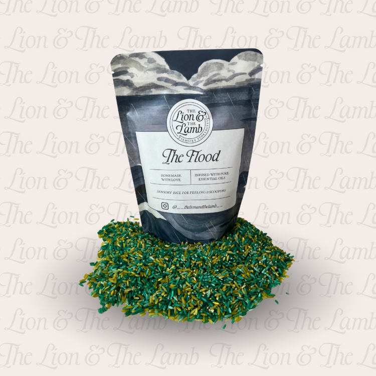 The Flood – Sensory Play Kit