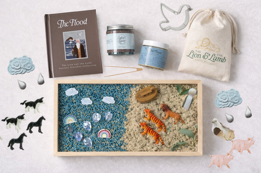 Bestseller • Noah’s Ark – Sensory Storybox