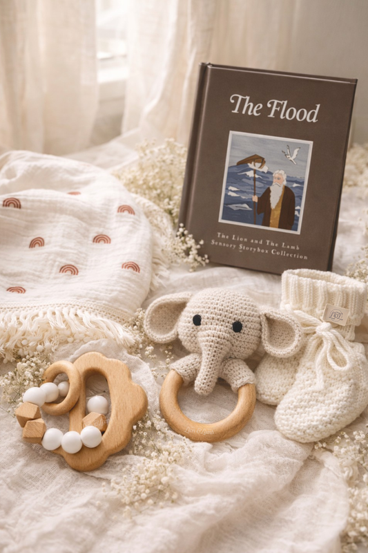 Noah’s Ark Baby Box